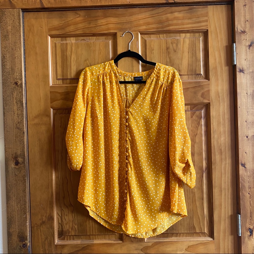 Cute torrid top